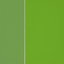 Differenzen-Kadgrün-Kobaltgrün-Acryl-Auf-Leinwand-40x40cm-2008-Nr-063