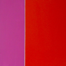 Differenzen-Rosa-Rot-Acryl-Auf-Leinwand-40x40cm-2008-Nr-061